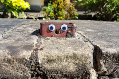 Metal square sticking out of ground with eyes stuck on to make it look like a creature